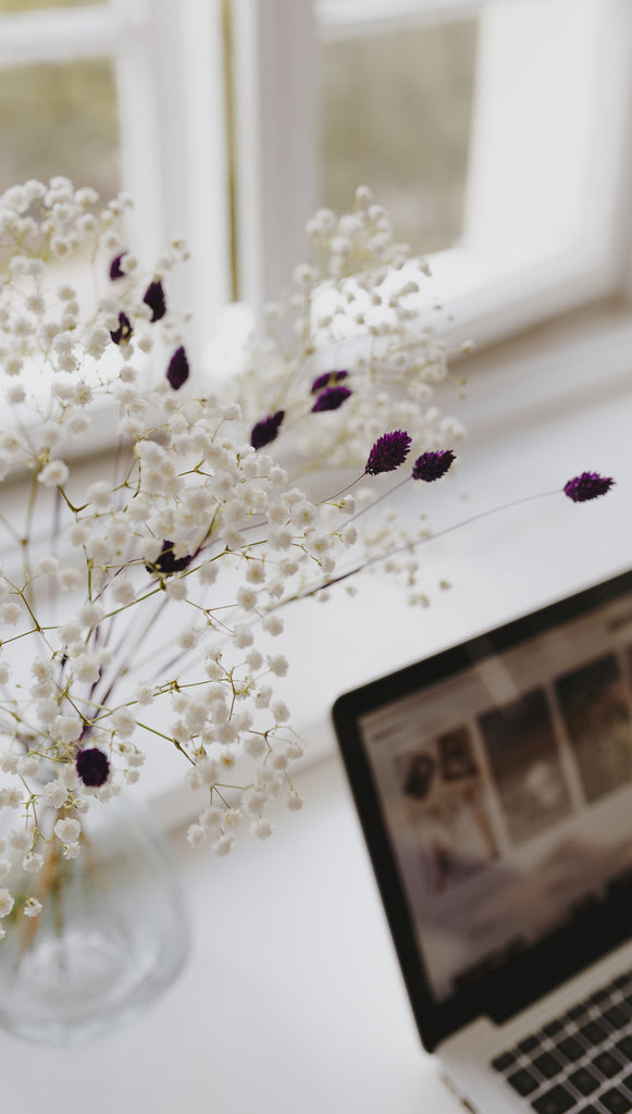 Baby's-breath flowers and laptop